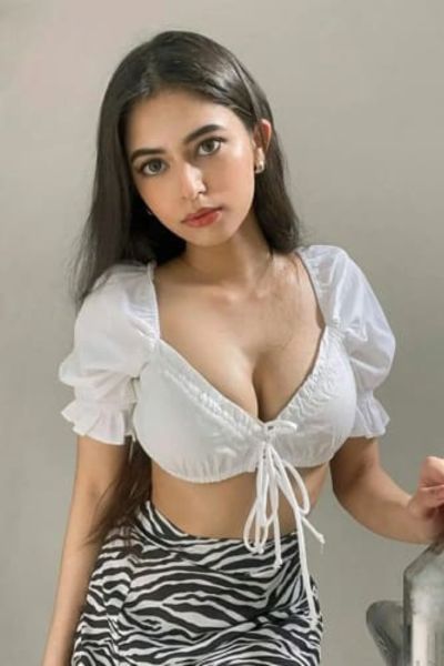 Hibiscus Select Hotel Escort in Noida